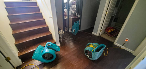 Best Emergency water damage restoration  in Arcadia, SC
