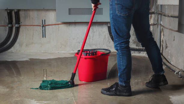 Best Local water damage restoration  in Arcadia, SC