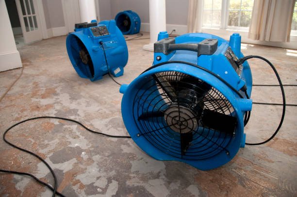 Water damage restoration mold remediation in Arcadia, SC