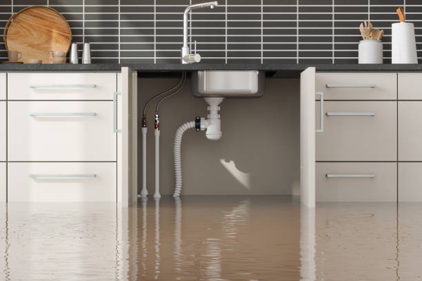 Best Water damage restoration mold remediation  in Arcadia, SC